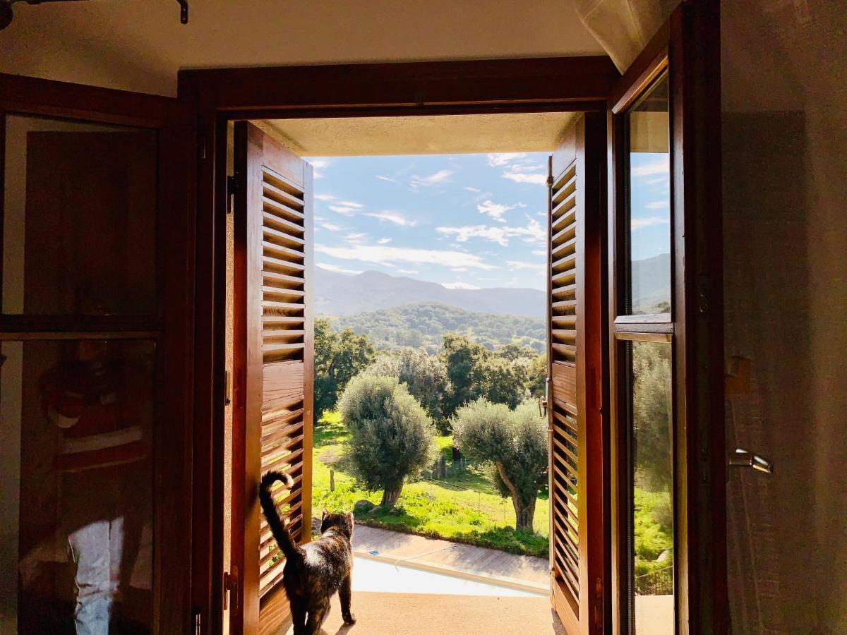 Villa Domaine de Tappa - Casa Filicina à Sollacaro Extérieur photo