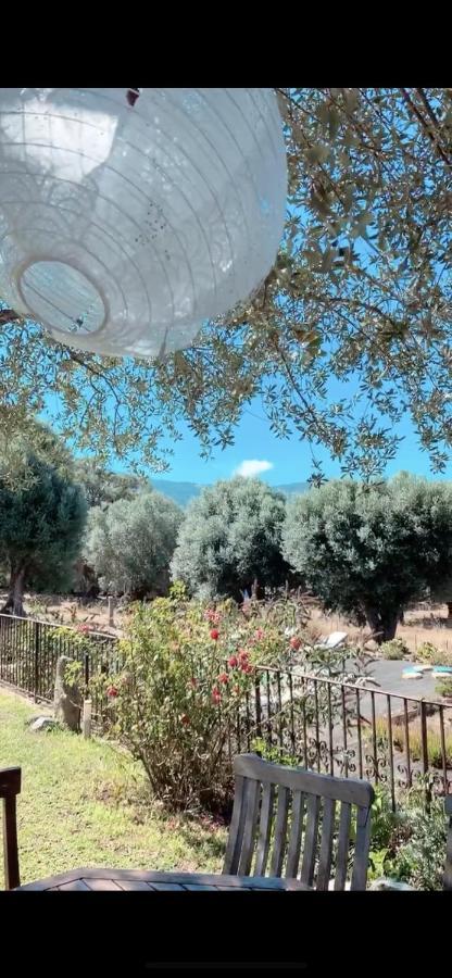 Villa Domaine de Tappa - Casa Filicina à Sollacaro Extérieur photo