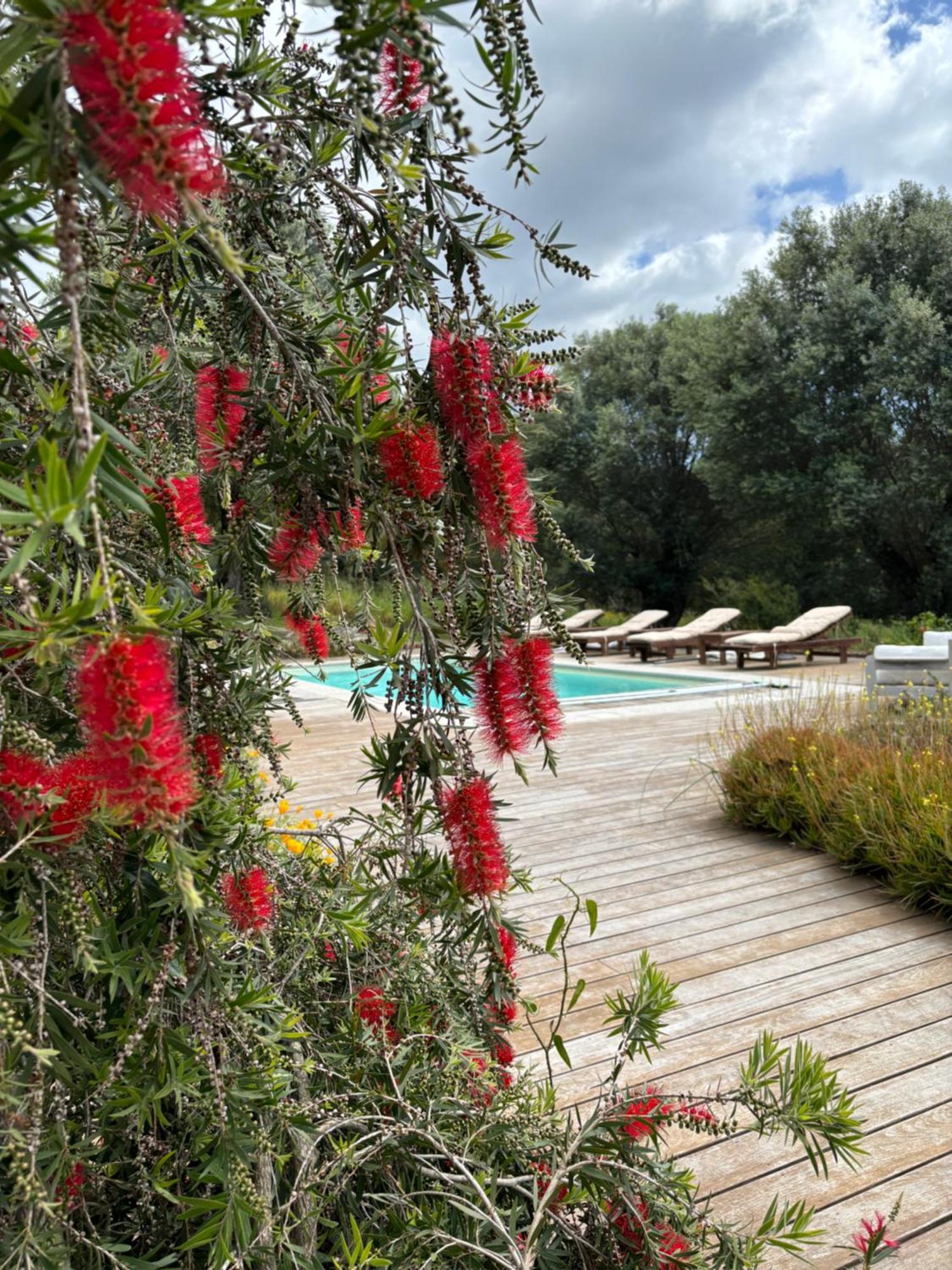 Villa Domaine de Tappa - Casa Filicina à Sollacaro Extérieur photo