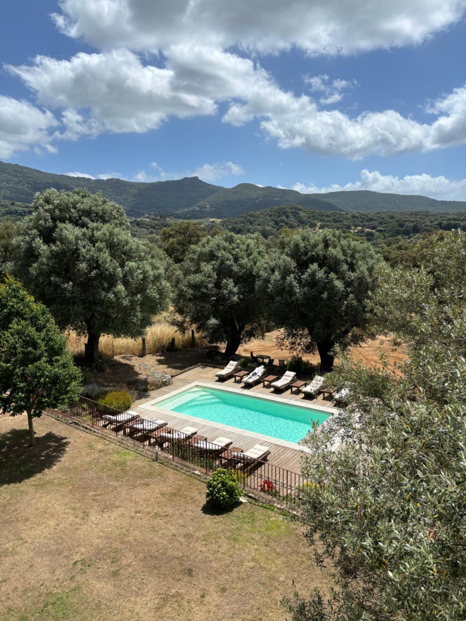 Villa Domaine de Tappa - Casa Filicina à Sollacaro Extérieur photo
