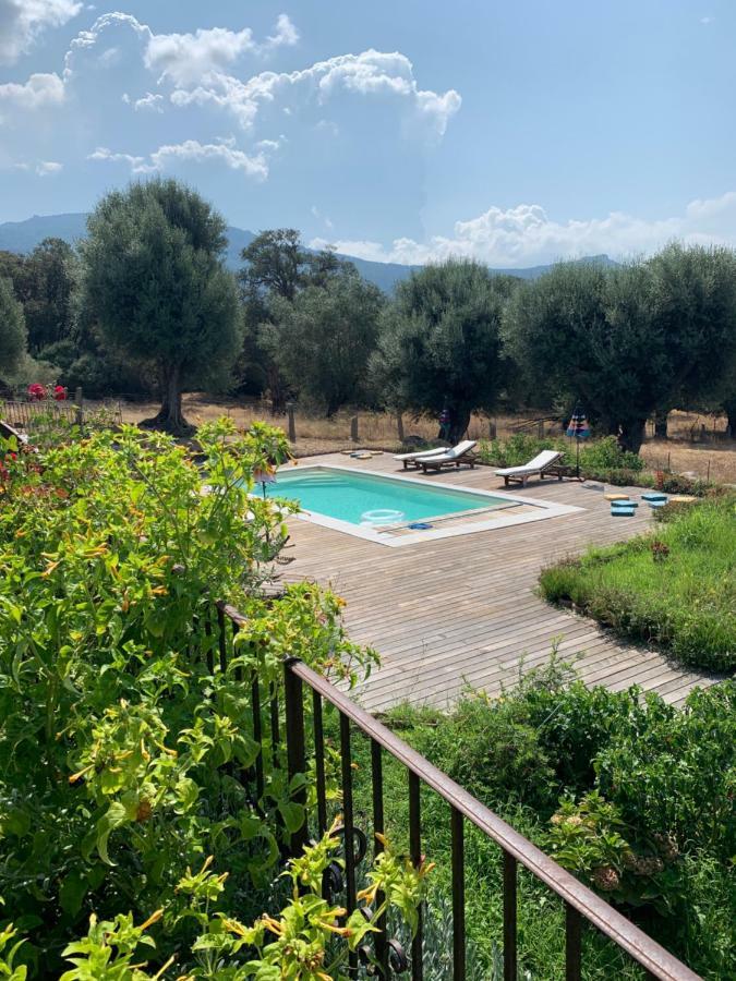 Villa Domaine de Tappa - Casa Filicina à Sollacaro Extérieur photo